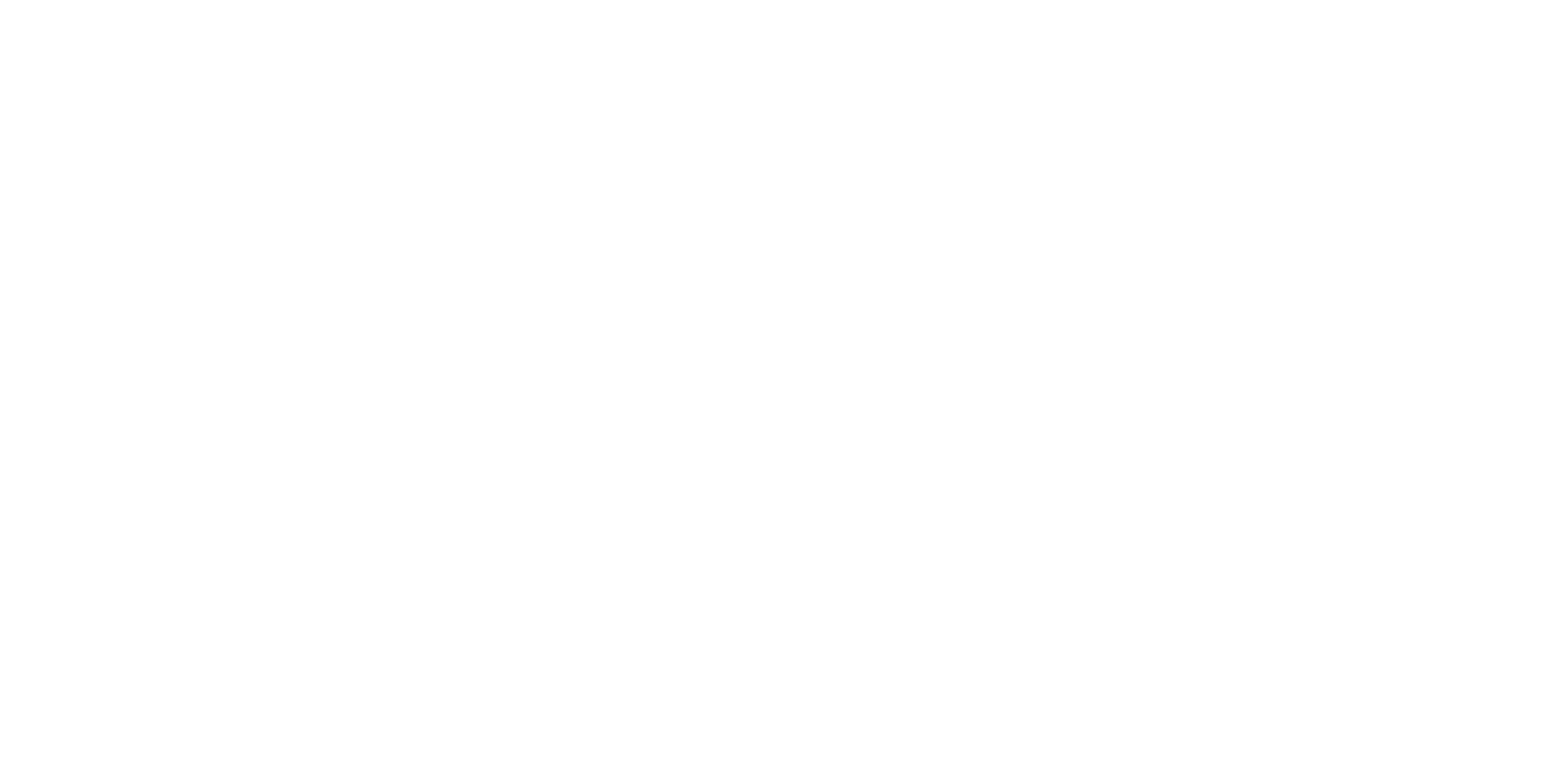 Nowa Logo